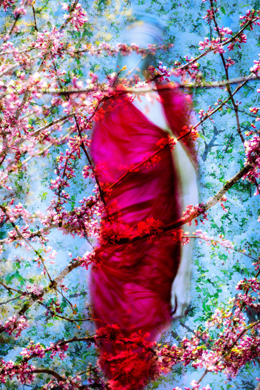Tied up in Blossoms