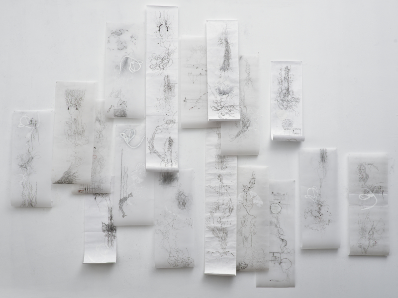 Wall Installation: The Touch of Longing is Everywhere